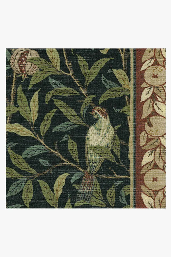 Bird & Pomegranate Teal Green Rug by Morris & Co.