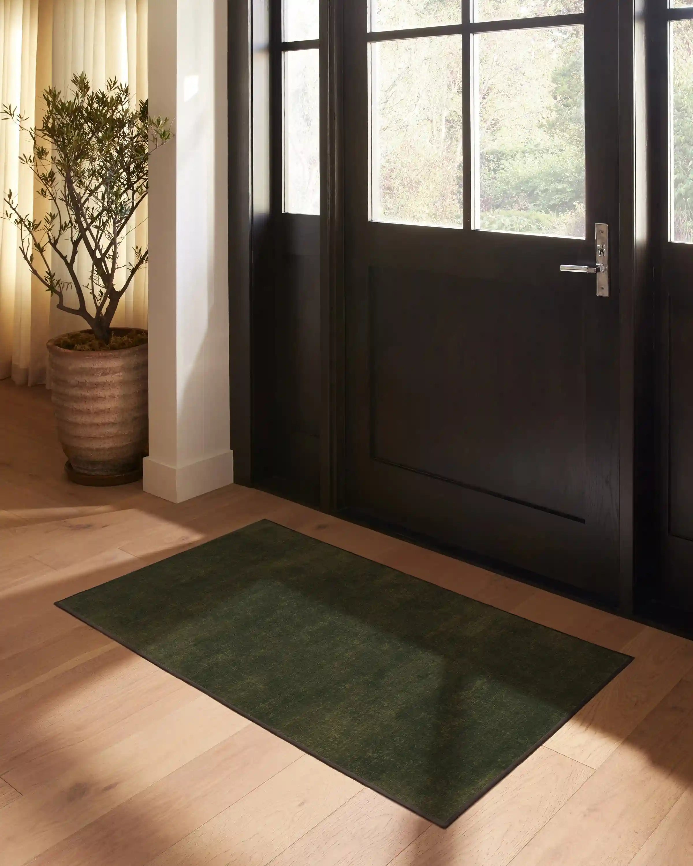 Nico Solid Olive Rug
